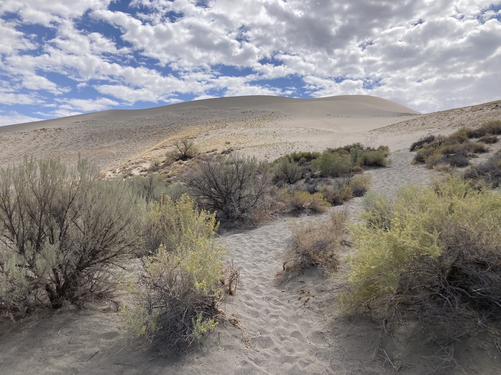 Bruneau Dunes State Park view