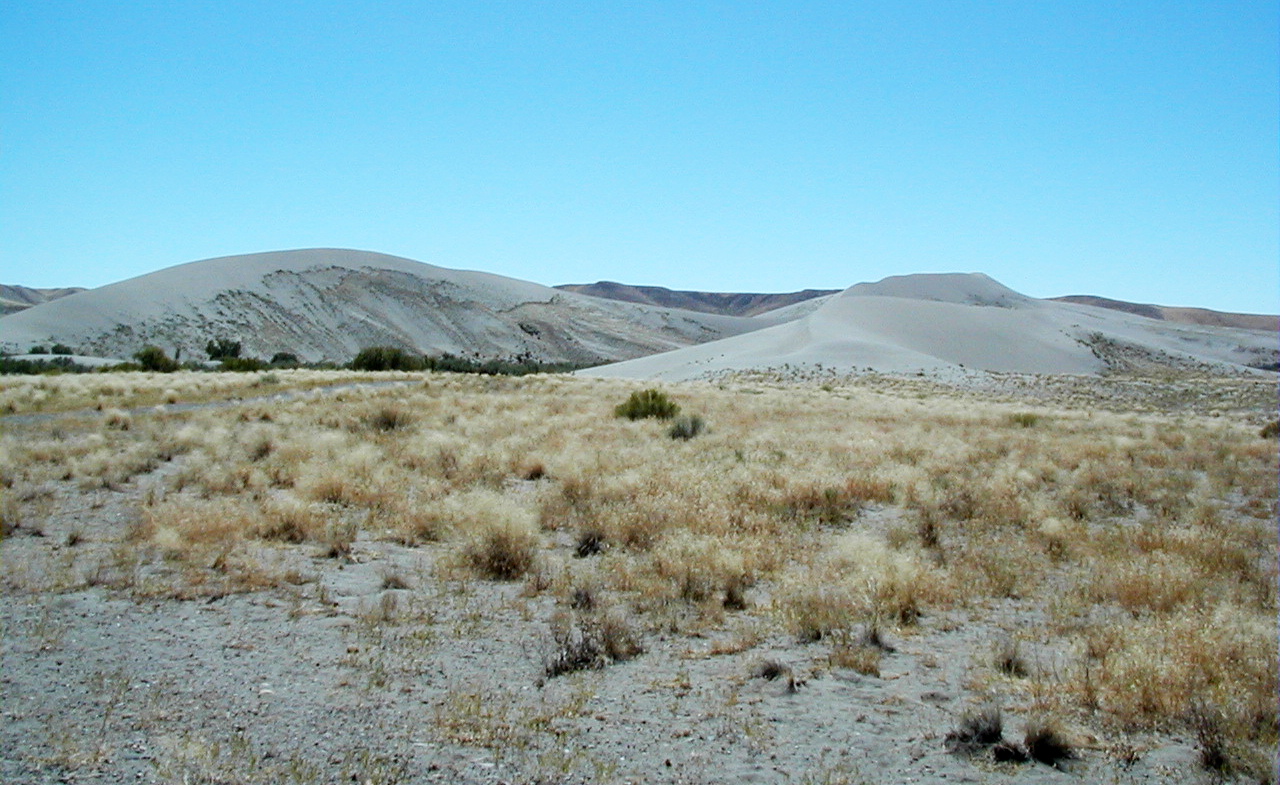 Bruneau Sand Dunes (Snake River Plain, Idaho, USA) 6